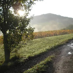 Grange Rénovée En Pleine Nature Valady